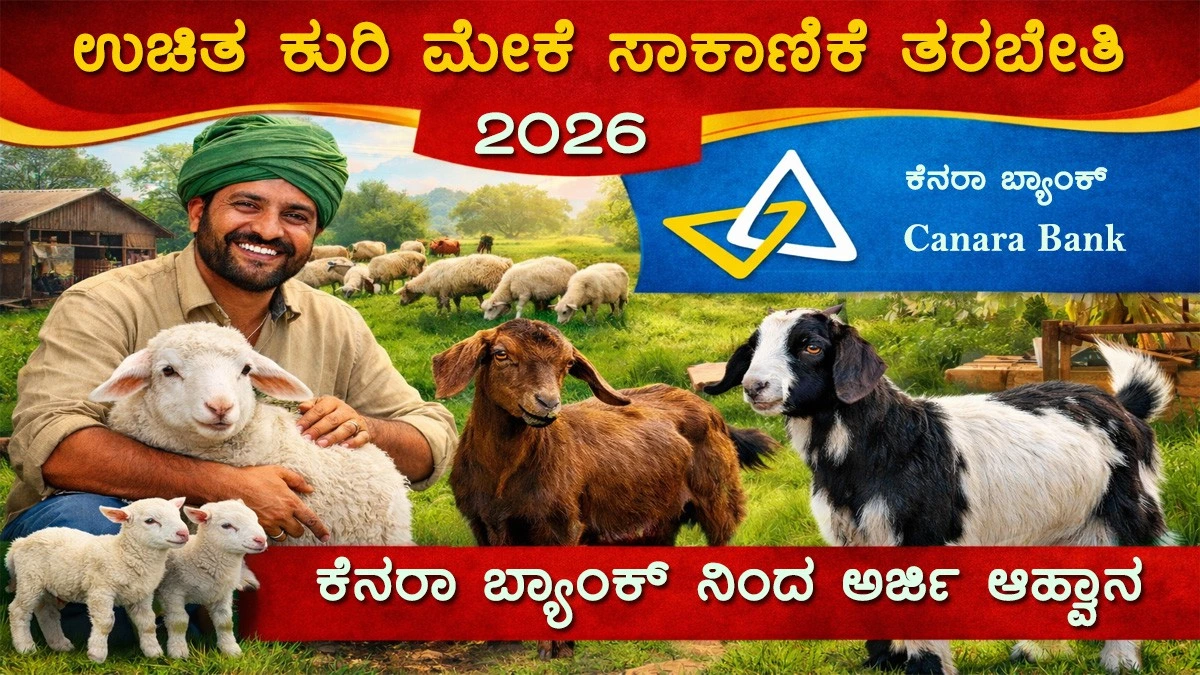 kuri-sakanike-tarabeti